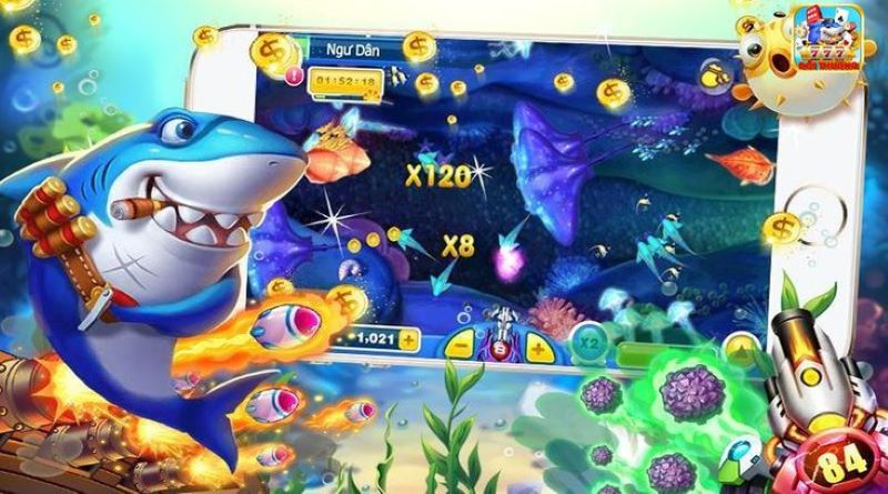 Chiến lược săn thưởng lớn và quản lý  