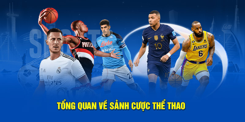 Cá Cược Thể Thao 1 Tổng quan về Cá Cược Thể Thao