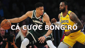 Quy trình tham gia Cá Cược Bóng Rổ