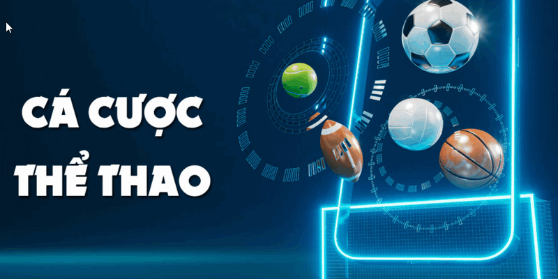 Cá Cược Thể Thao 2 Các loại hình cá cược thể thao tại VIN68
